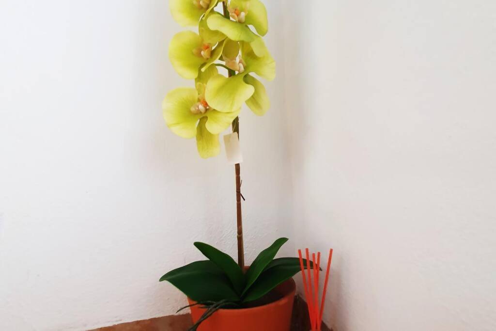 8 Huespedes En Plena Naturaleza Holiday home Gestalgar