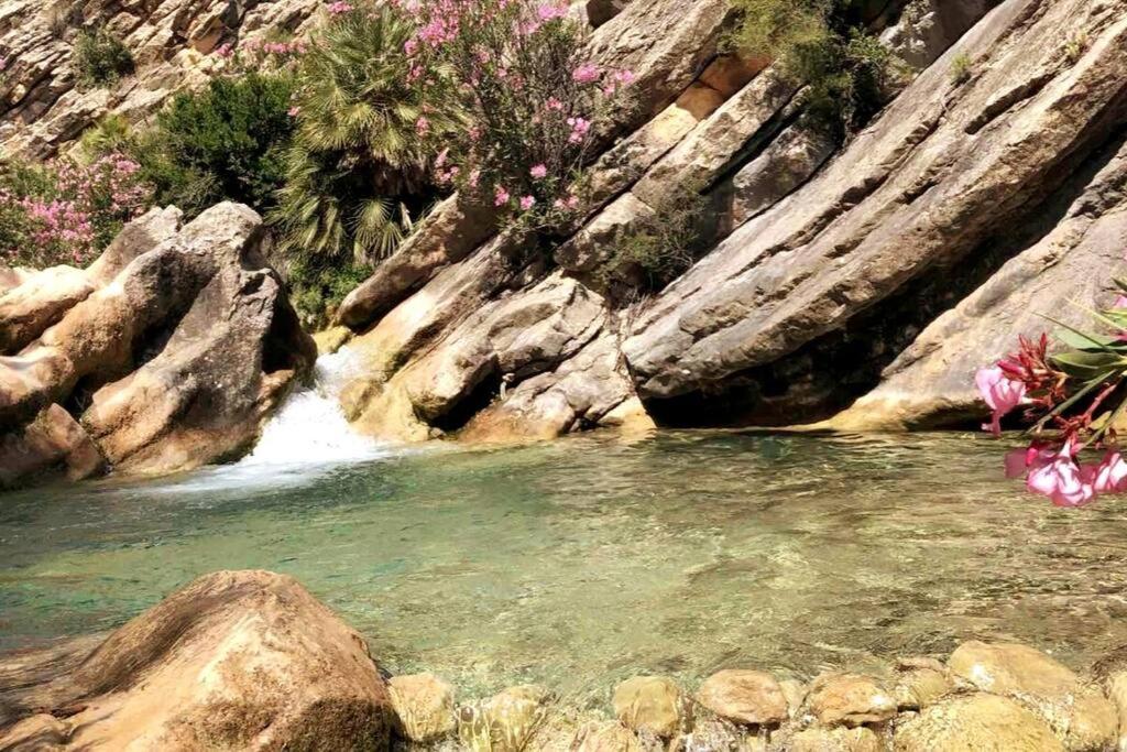 Hébergement de vacances 8 Huespedes En Plena Naturaleza