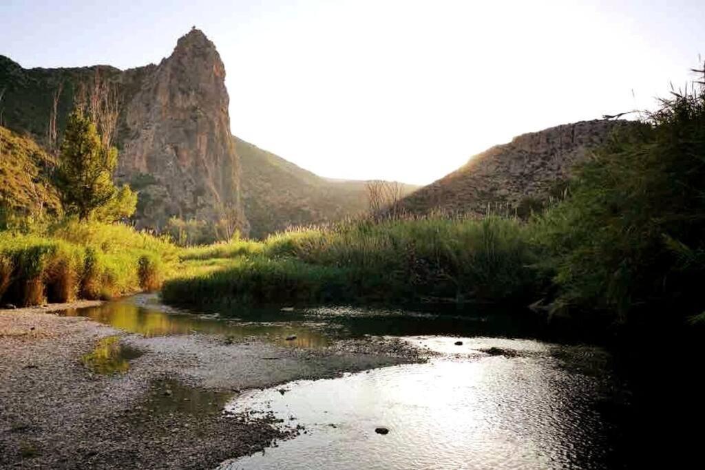 8 Huespedes En Plena Naturaleza Hébergement de vacances