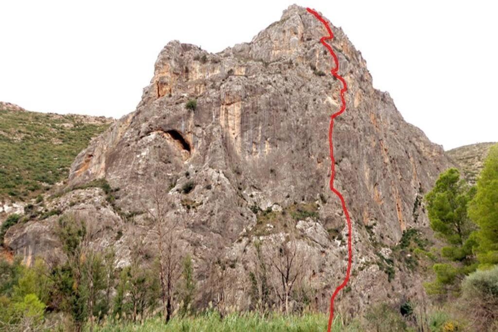 8 Huespedes En Plena Naturaleza *