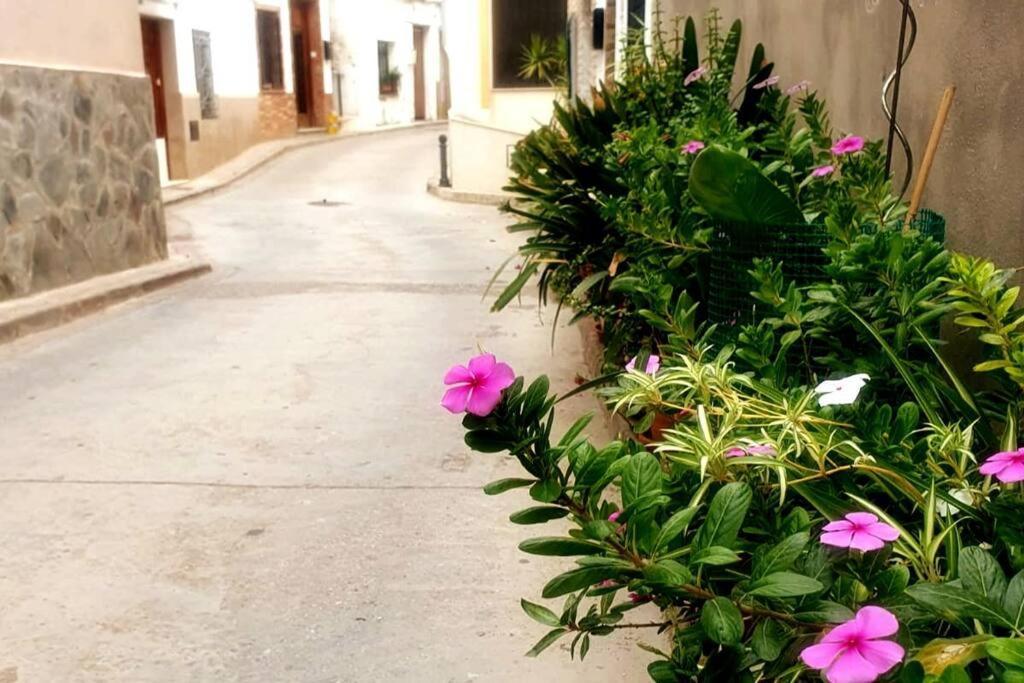 8 Huespedes En Plena Naturaleza * Gestalgar
